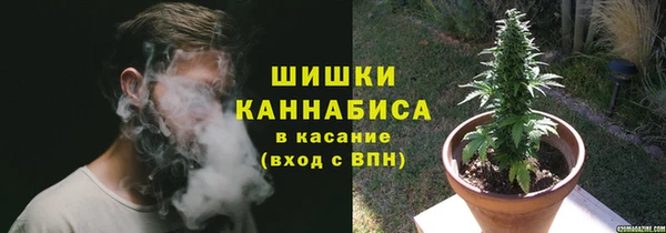 ALPHA PVP Белокуриха